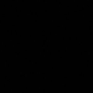 Meet your Posher, Ash